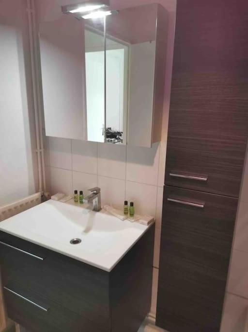 Charmant Appartement Au Calme Μπουργκ-αν-Μπρες Εξωτερικό φωτογραφία
